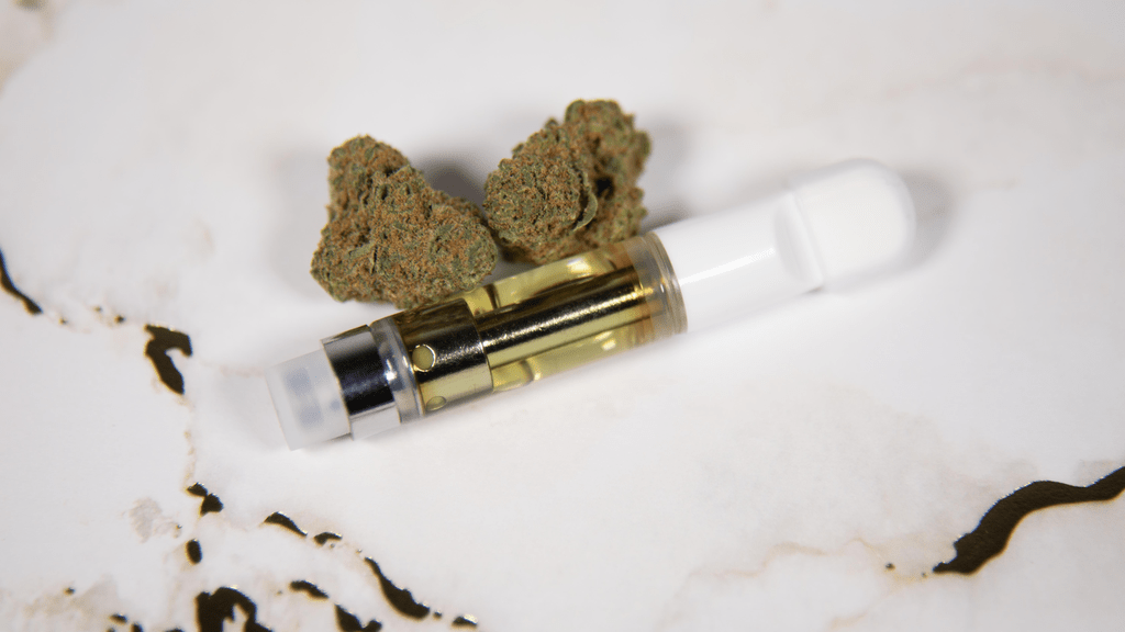 How Cannabis Is Bringing Veterans Together in Brotherhood